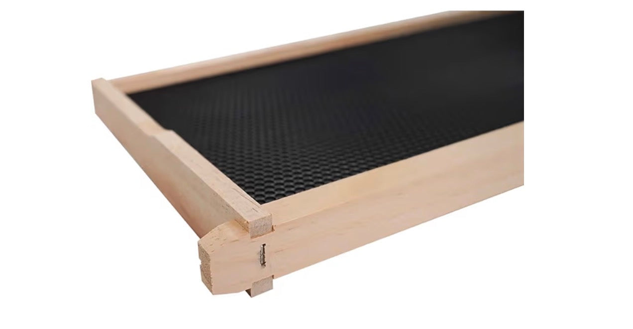Langstroth Deep Beehive Frames – Pre-Assembled Wood Frames with Black Foundation (10 per package)